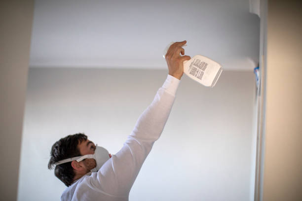 Attic Mold Removal in Zanesville, OH
