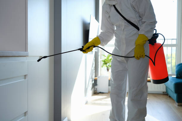 Best Mold Cleaning Services  in Zanesville, OH